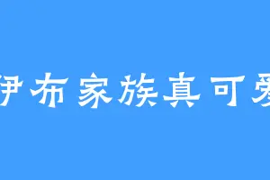 伊布家族真可爱