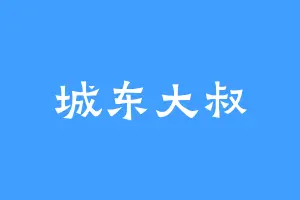 城东大叔