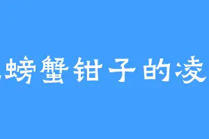 爱吃螃蟹钳子的凌小姐