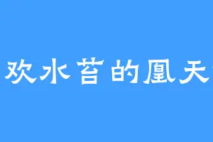 喜欢水苔的凰天依