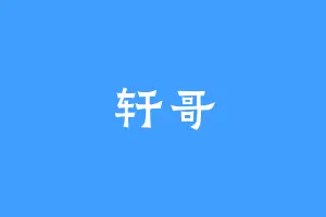 轩哥