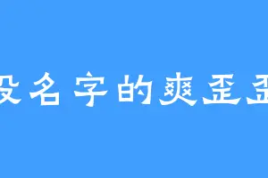 没名字的爽歪歪