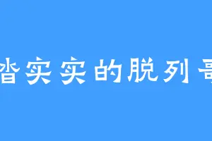 踏踏实实的脱列哥那