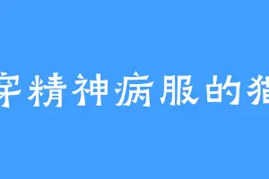 穿精神病服的猫