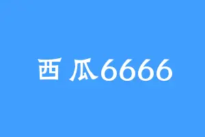 西瓜6666
