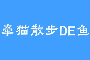 牵猫散步DE鱼