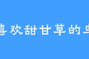 喜欢甜甘草的鸟