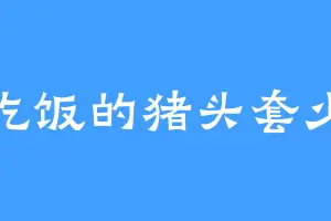 爱吃饭的猪头套少年