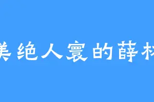 美绝人寰的薛林