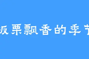 板栗飘香的季节