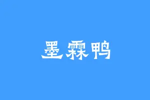 墨霖鸭