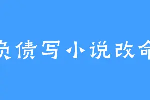 负债写小说改命
