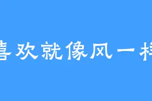 喜欢就像风一样
