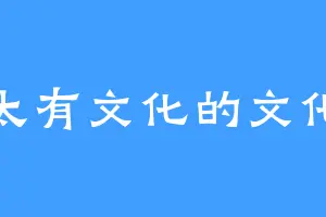 不太有文化的文化人