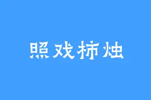照戏柿烛