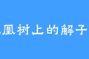 凤凰树上的解子扬