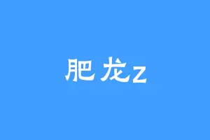 肥龙z