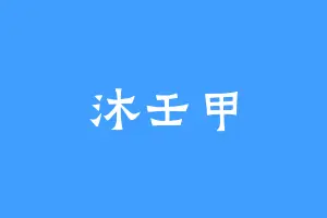 沐壬甲