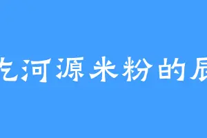 爱吃河源米粉的辰逸