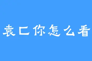 袁匚你怎么看