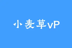 小麦草vP