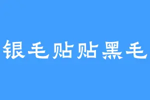 银毛贴贴黑毛