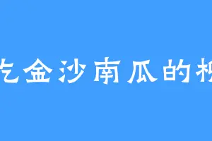 爱吃金沙南瓜的柳家