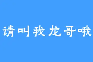 请叫我龙哥哦