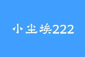 小尘埃222