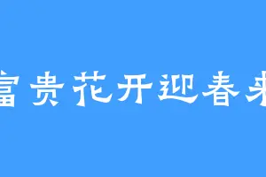 富贵花开迎春来