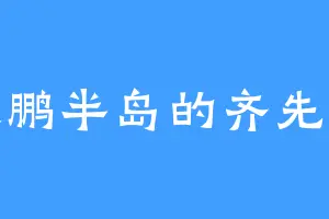 大鹏半岛的齐先生