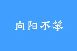 向阳不笨