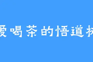 爱喝茶的悟道树