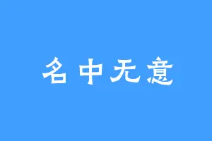 名中无意