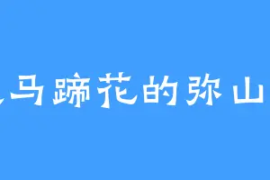 喜欢马蹄花的弥山弥石