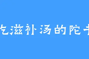 爱吃滋补汤的陀书易