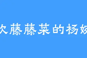 喜欢藤藤菜的杨婉儿