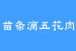 苗条滴五花肉