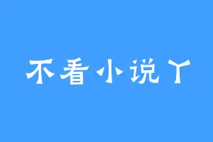 不看小说丫