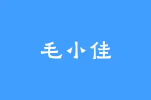 毛小佳