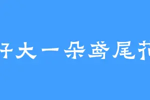 好大一朵鸢尾花