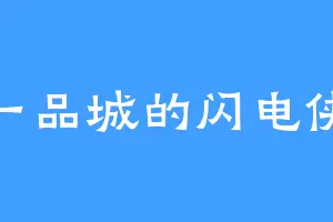 一品城的闪电侠