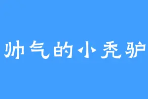 帅气的小秃驴