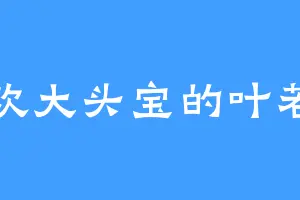 喜欢大头宝的叶若雪