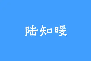 陆知暖