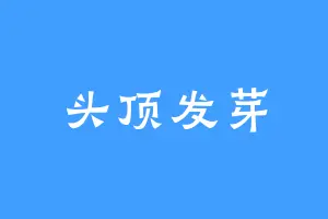 头顶发芽