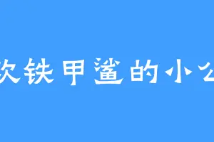 喜欢铁甲鲨的小公主