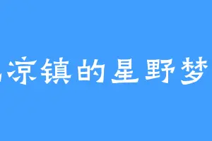 北凉镇的星野梦美