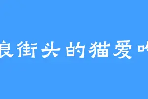 流浪街头的猫爱吃鱼
