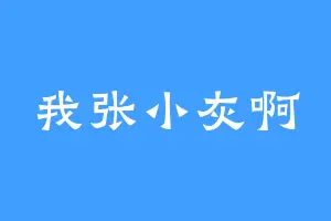 我张小灰啊